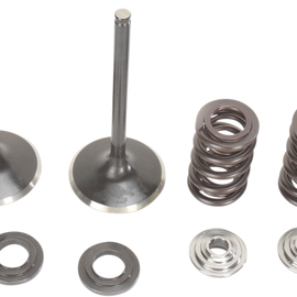 Intake Valve Kit