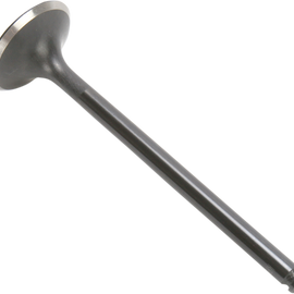 Exhaust Valve