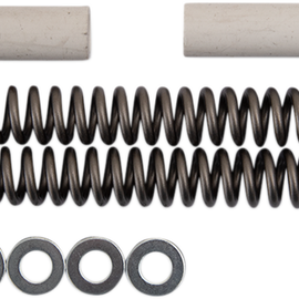 Fork Springs - 1.00 kg/mm570014