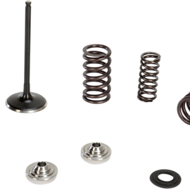 Intake Valve Kit