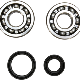 Crank Bearing and Seal Kit