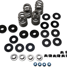 Valve Springs - High-Load