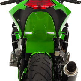 Superbike 2 Undertail - Ninja 300R