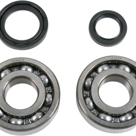 Crank Bearings and Seals - LT500R
