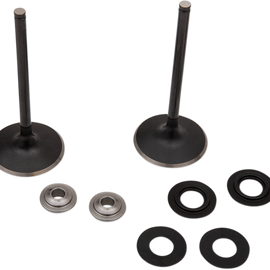 Intake Valve Kit