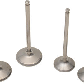 Valve Kit