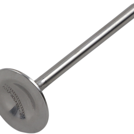 Exhaust Valve