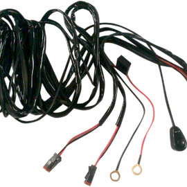 Wiring Harness with Switch