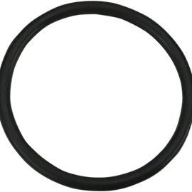 Viton O-Ring