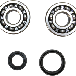 Crank Bearing and Seal Kit