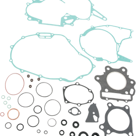 Motor Gasket Kit with Seal - TRX300EX