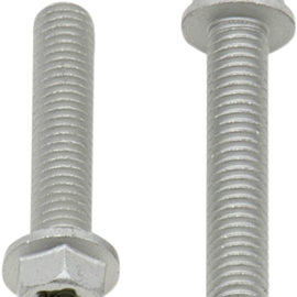 European Bolt M6x30 10-Pack