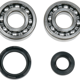 Crankcase Bearing and Seal Kit