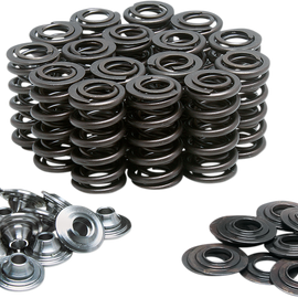 Valve Spring Kit