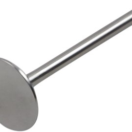 Exhaust Valve