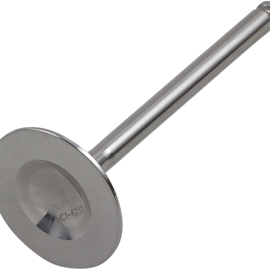 Exhaust Valve