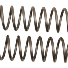 Front Fork Springs - 0.39 kg/mm