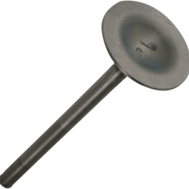 Exhaust Valve