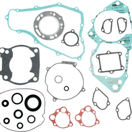 Motor Gasket Kit with Seal - CR250