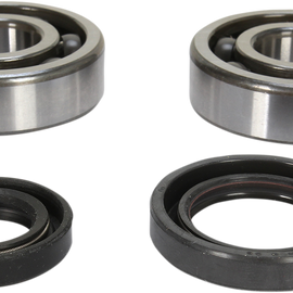 Crank Bearing and Seal Kit