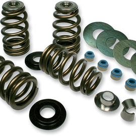 Valve Springs - High-Load