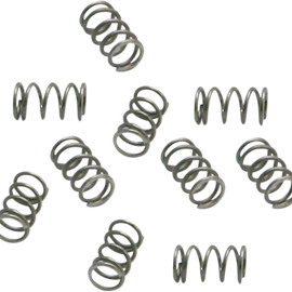 Idle Mix Screw Spring