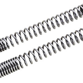 Fork Spring Kit