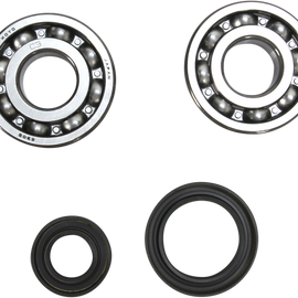Crank Bearing and Seal Kit