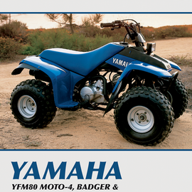 Manual - Yamaha Badger