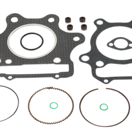 Piston Kit with Gaskets