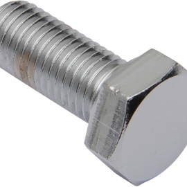 5/16-24 X 3/4 Chrome Hex Head