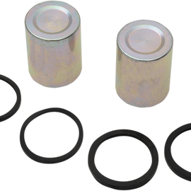 Caliper Seal Kit and Pistons - Front