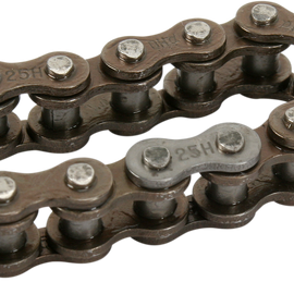 Cam Chain