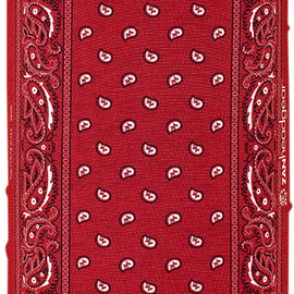 Motley Tube - Red Paisley