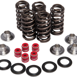 Valve Spring Kit