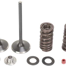 Intake Valve Kit