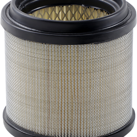 Air Filter - Polaris All 2-Stroke