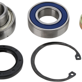 Chain Case Bearing and Seal Kit