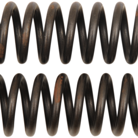 Fork Pressure Springs - 1.76 kg/mm