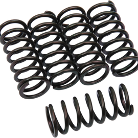 Clutch Springs