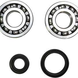 Crank Bearing and Seal Kit