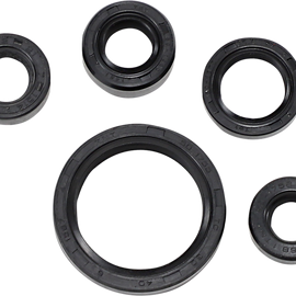Oil Seal Set - DRZ200