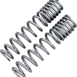 Rear Shock Springs - Silver