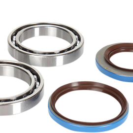 Differential Bearing/Seal Kit - Rear
