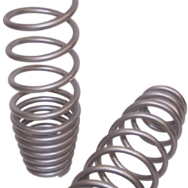 Front Shock Springs - Silver