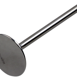 Exhaust Valve