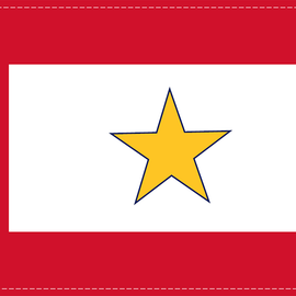 Gold Star Flag - 6" x 9"