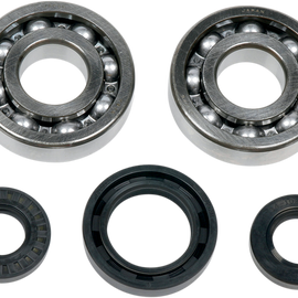 Crankcase Bearing and Seal Kit