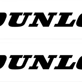 FX Swingarm Sticker - Dunlop - Black