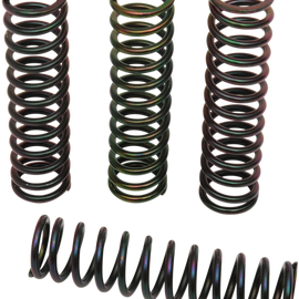 Clutch Spring Kit